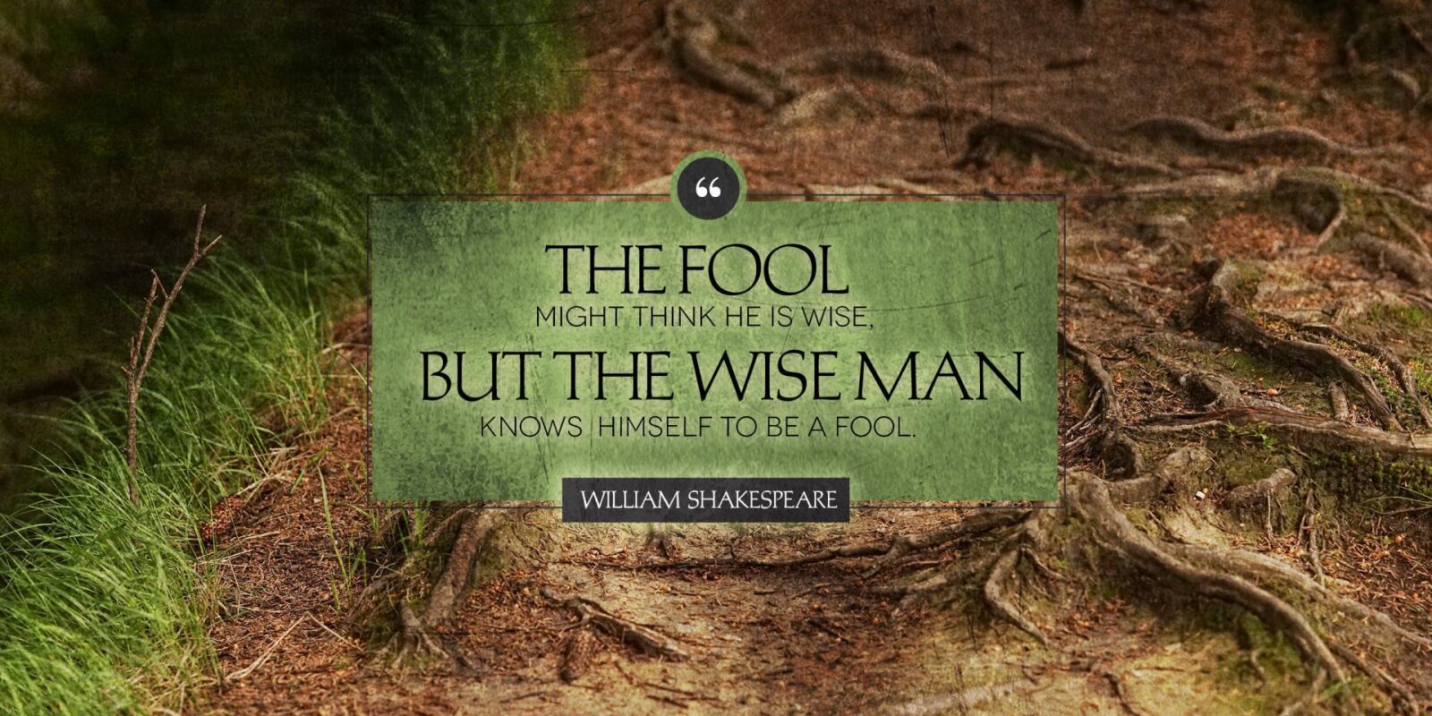 https://MartinaMcGowan.com Shakespeare, fool