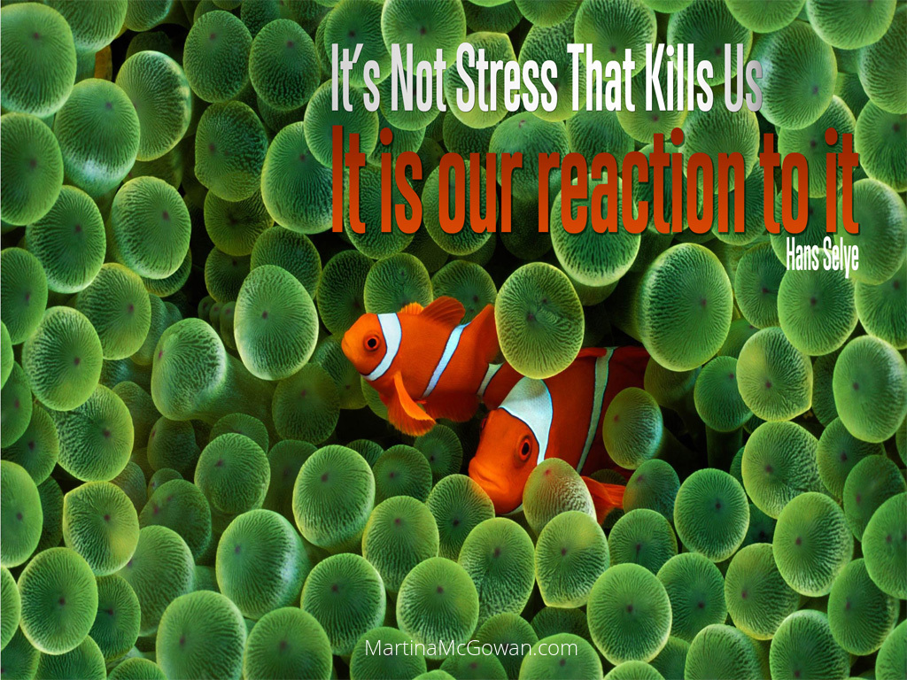 It's not the stress that kills